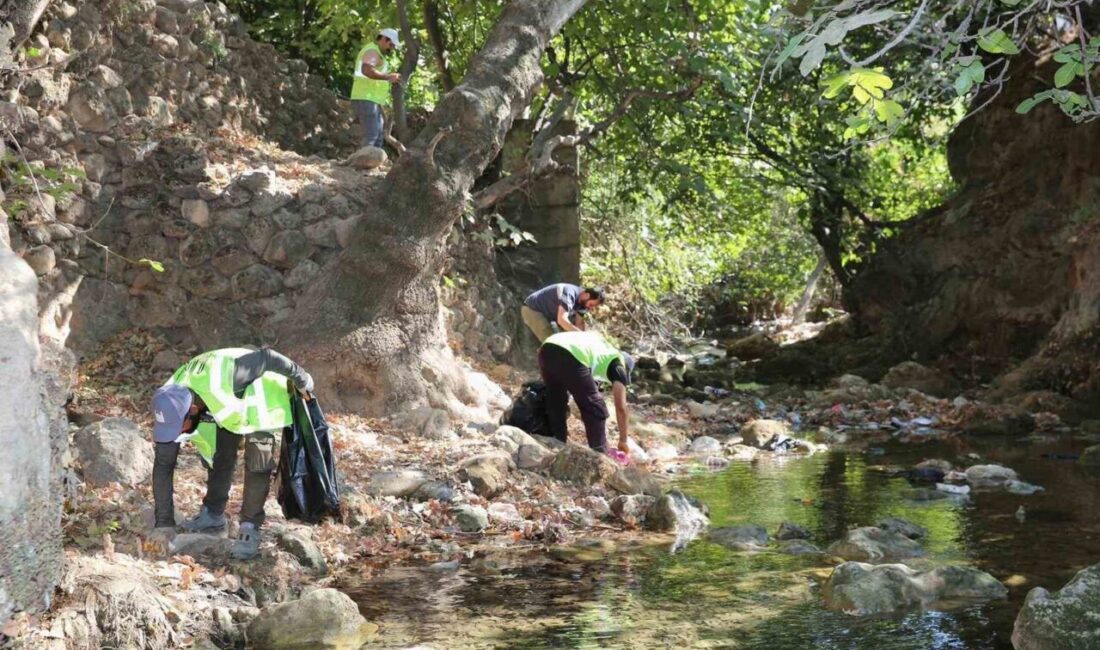Mardin Büyükşehir Belediyesi Çevre Koruma ve Kontrol Daire Başkanlığı, Kızıltepe
