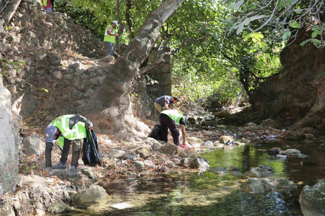 Mardin Büyükşehir Belediyesi Çevre Koruma ve Kontrol Daire Başkanlığı, Kızıltepe