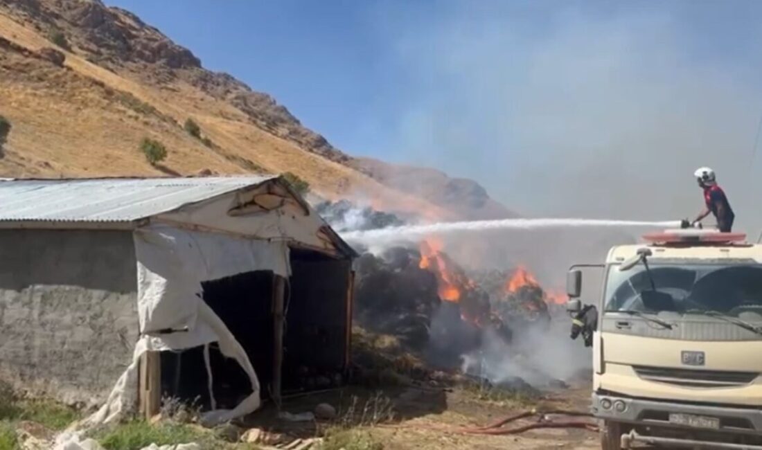 Hakkari’nin Yüksekova ilçesinde çıkan yangında 20 bin bağ otu yandı.