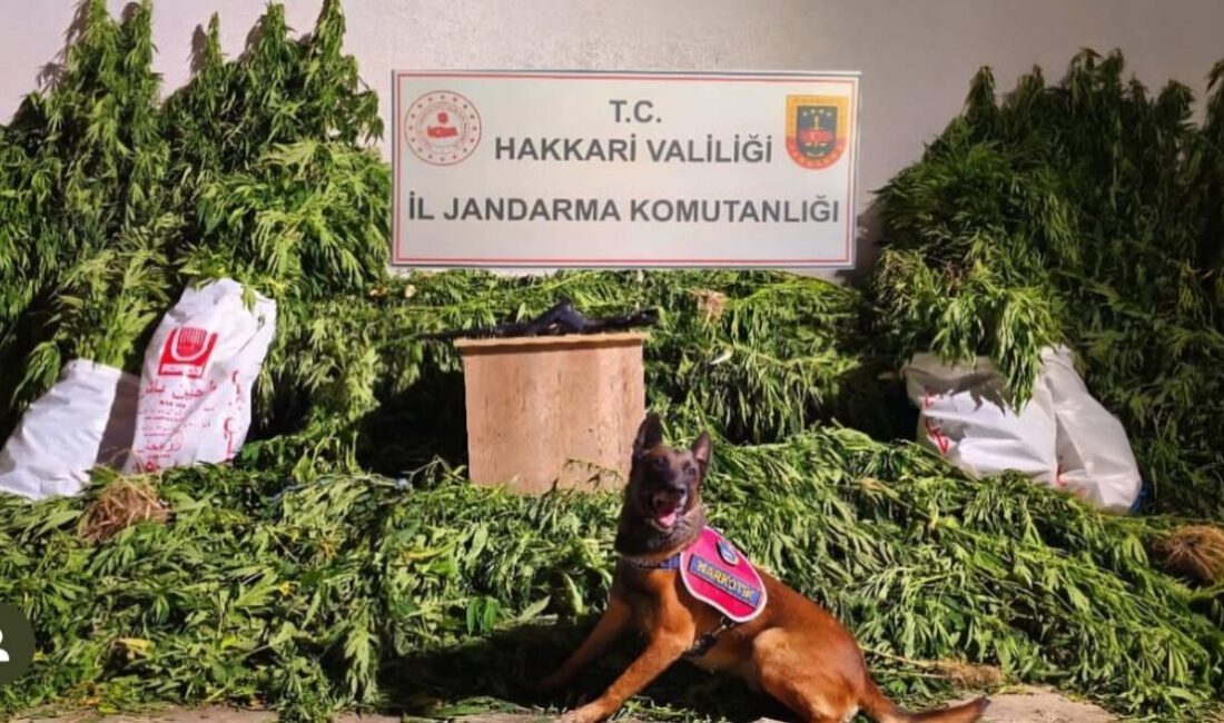 HAKKARİ (İHA) – Hakkari’nin Yüksekova ilçesinde jandarma ekiplerince yürütülen çalışmalar