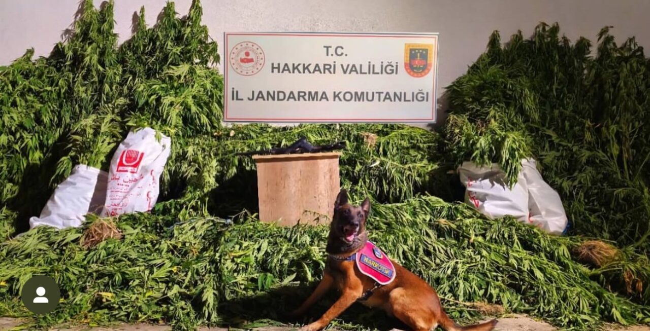 HAKKARİ (İHA) – Hakkari’nin Yüksekova ilçesinde jandarma ekiplerince yürütülen çalışmalar