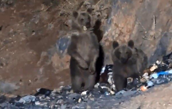 HAKKARİ (İHA) – Hakkari’nin Yüksekova ilçesine bağlı Dağlıca köyü yakınlarındaki
