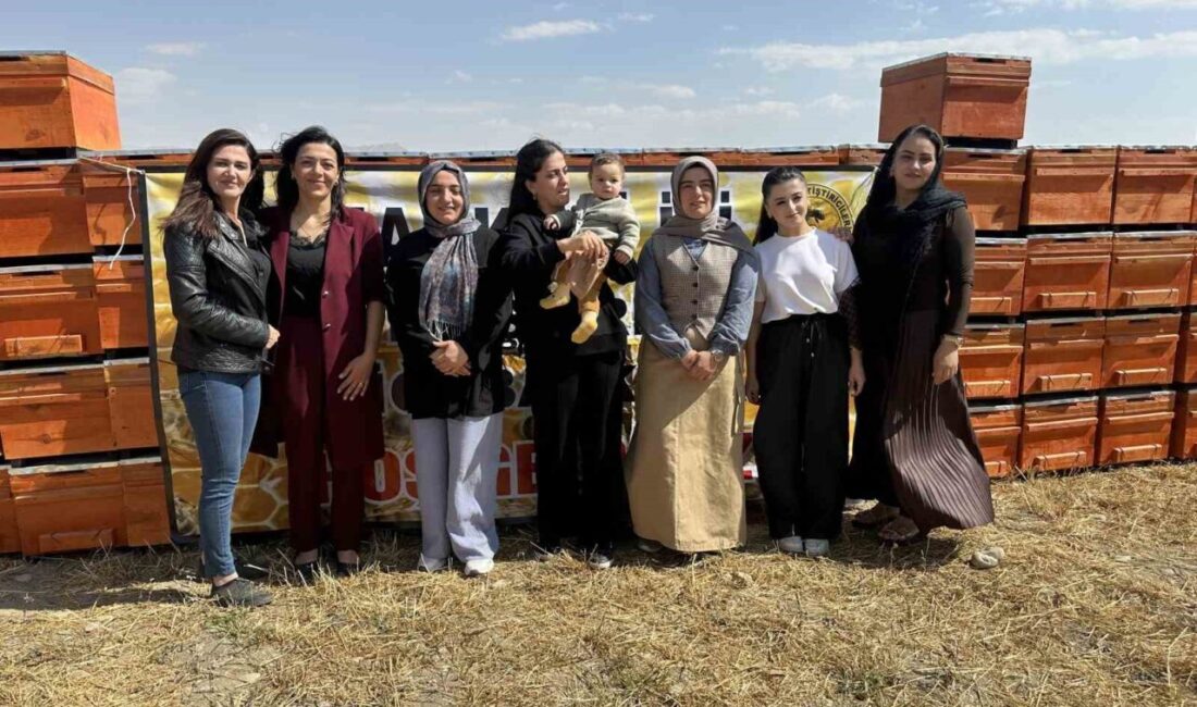 Hakkari’nin Yüksekova ilçesinde Tarım ve Kırsal Kalkınmayı Destekleme Kurumu (TKDK)