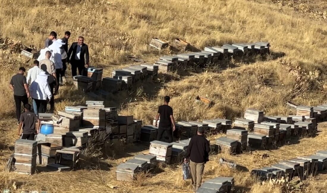 Hakkari’nin Yüksekova ilçesine bağlı Dilektaşı köyünde kovanlarda üretilen balların sağımına