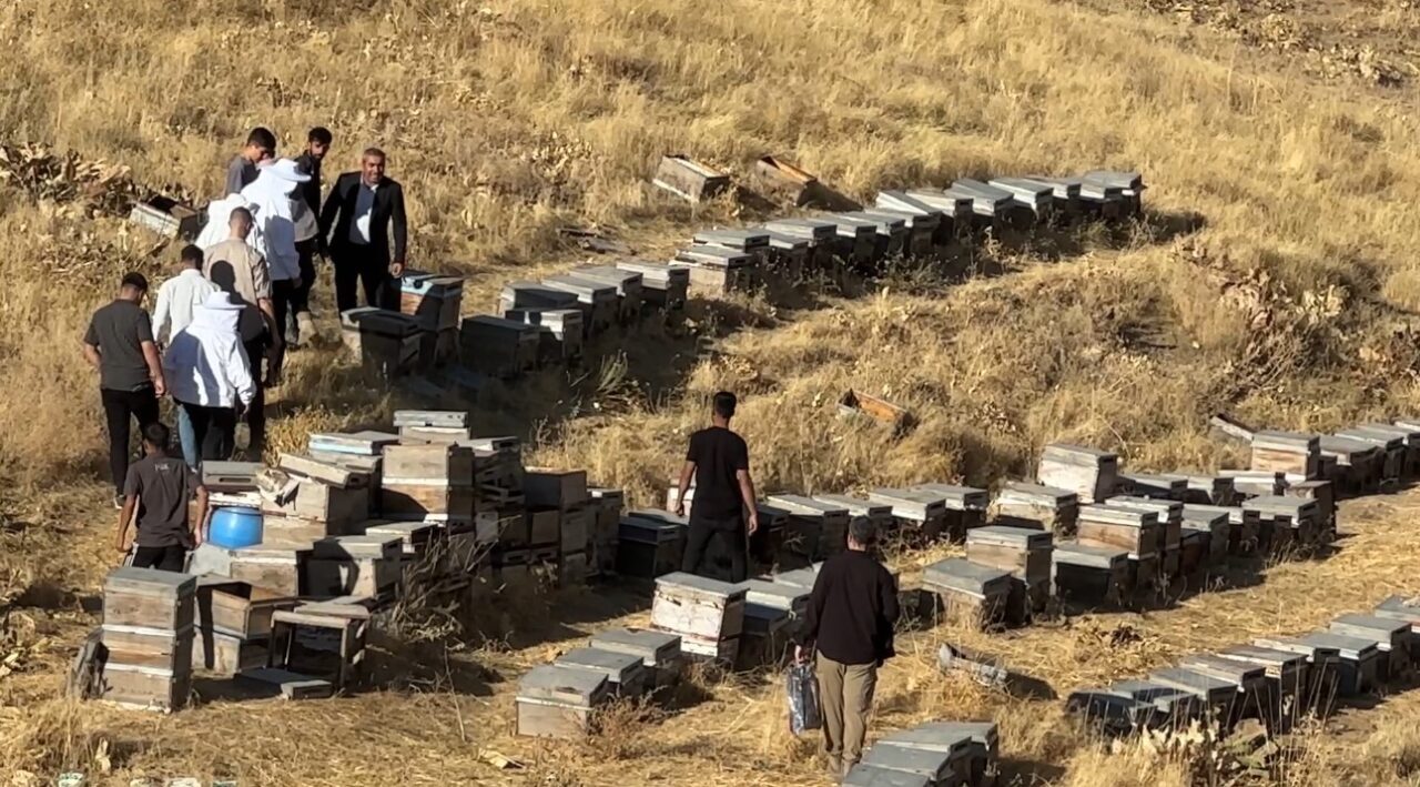 Hakkari’nin Yüksekova ilçesine bağlı Dilektaşı köyünde kovanlarda üretilen balların sağımına