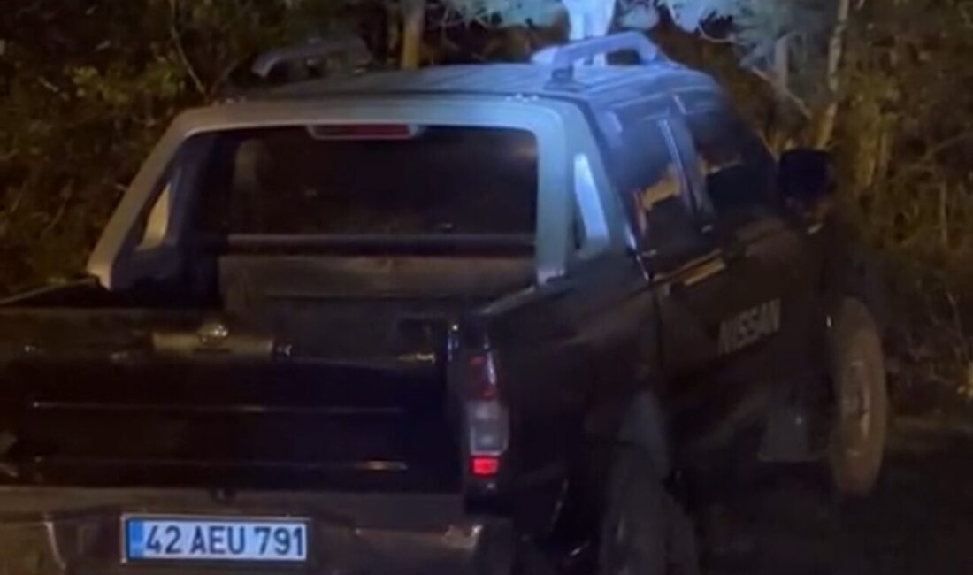 Hakkari’nin Yüksekova ilçesinde dost canlısı bir tilki, mesken tuttuğu evin