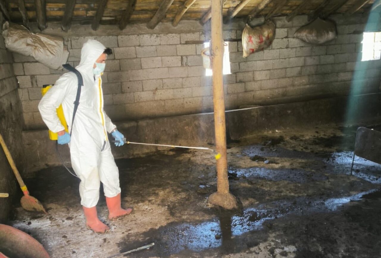 Hakkari’nin Yüksekova ilçesinde hayvancılığın korunması ve sağlığının güvence altına alınması