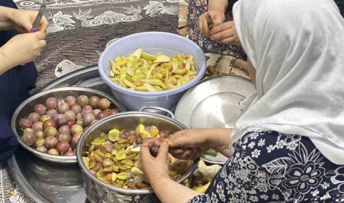 Hakkari’nin Yüksekova ilçesinde kadınlar, kış sofralarını süsleyecek pestil yapımına ara