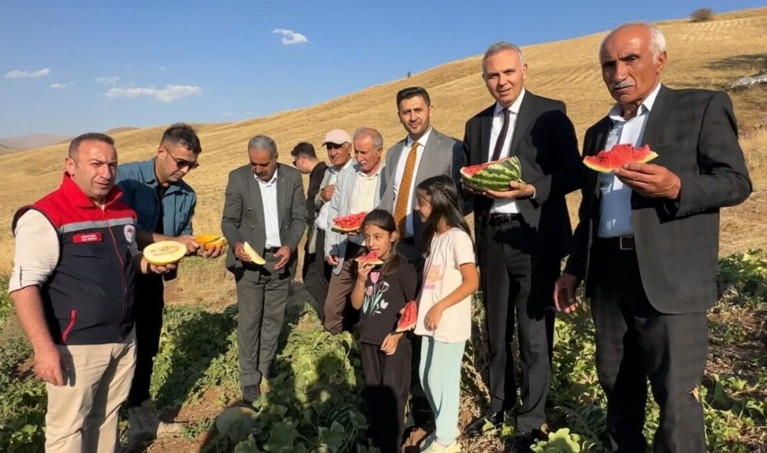 Hakkari’nin Yüksekova ilçesine bağlı Demirkonak köyünde ilkbaharda ekilen mısır, karpuz
