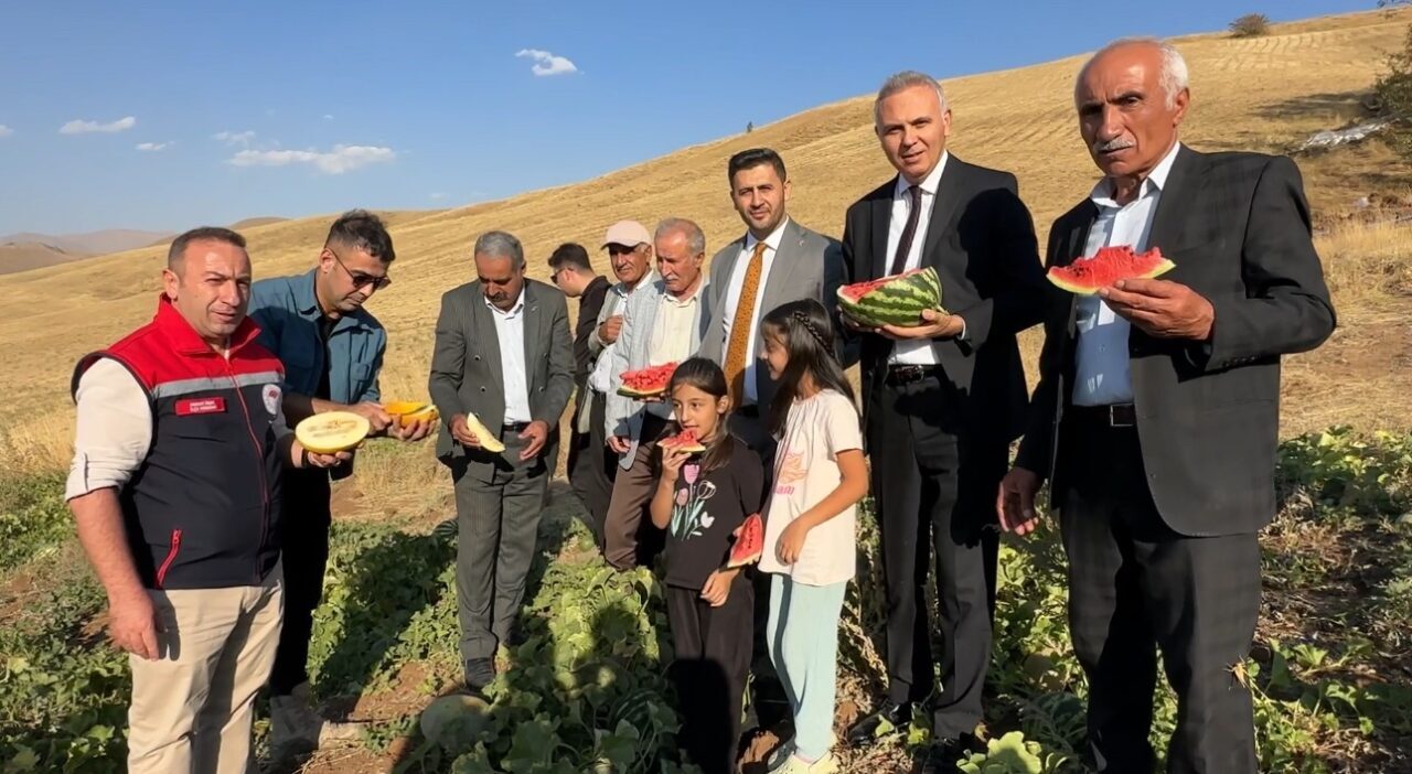 Hakkari’nin Yüksekova ilçesine bağlı Demirkonak köyünde ilkbaharda ekilen mısır, karpuz