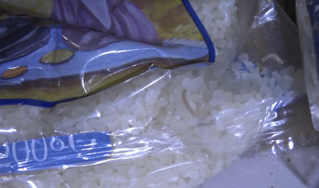 Şanlıurfa Büyükşehir Belediyesi zabıta ekiplerinin marketlere yönelik yaptığı denetimlerde, kurtlanmış