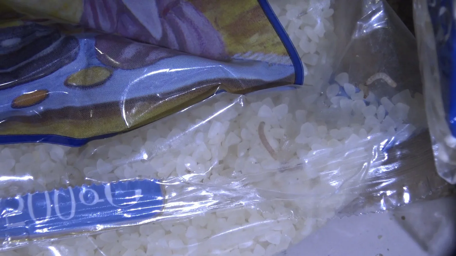 Şanlıurfa Büyükşehir Belediyesi zabıta ekiplerinin marketlere yönelik yaptığı denetimlerde, kurtlanmış