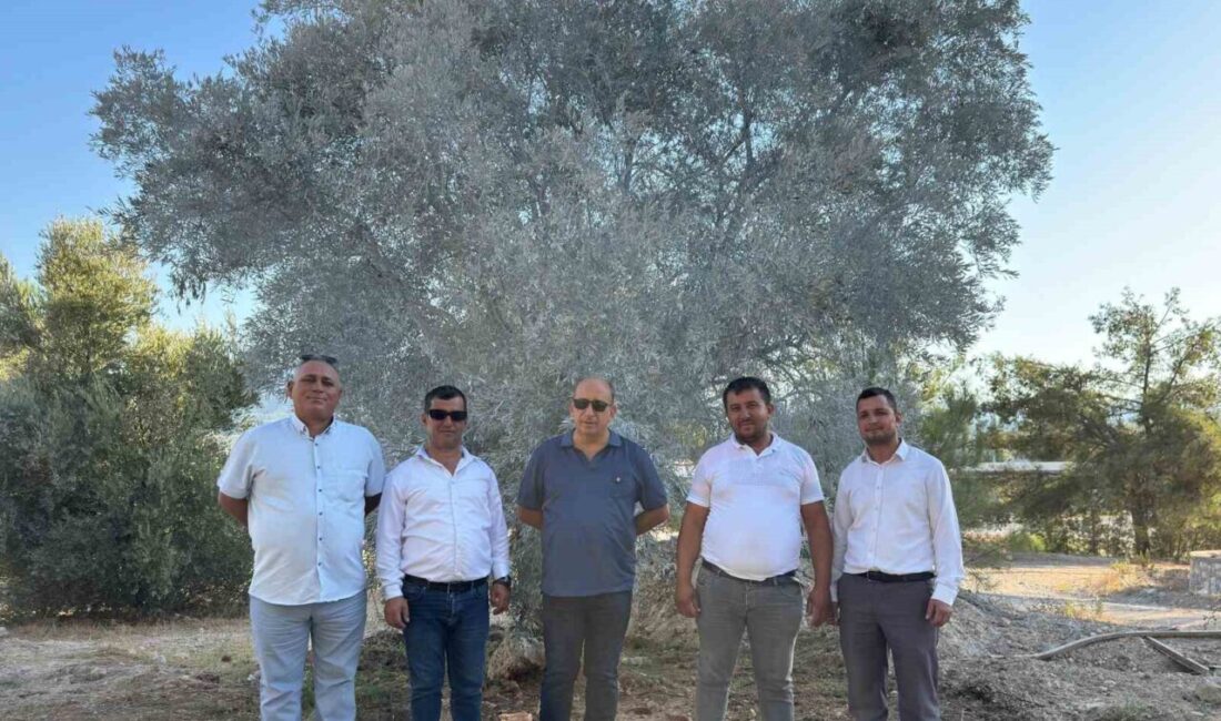 Muğla’nın Milas ilçesindeki maden sahalarında 7554 sayılı Bazı Kanunlarda Değişiklik