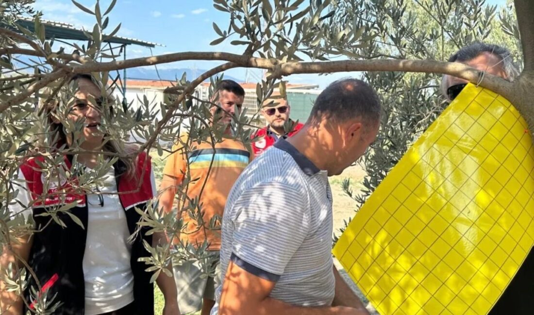 Balıkesir’in Edremit İlçe Tarım ve Orman Müdürlüğü tarafından yürütülen proje