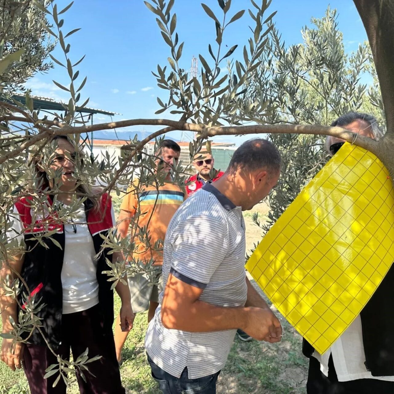 Balıkesir’in Edremit İlçe Tarım ve Orman Müdürlüğü tarafından yürütülen proje