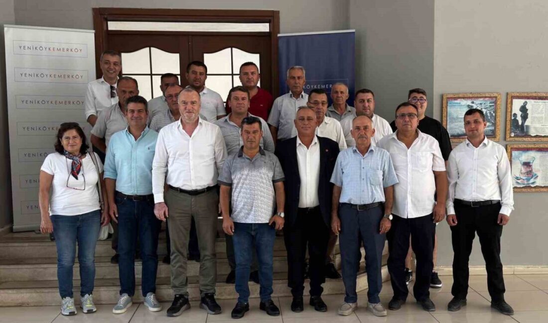 Milas’ta, zeytin ağaçlarının taşınması ve yöre halkına tahsisi süreçlerini şeffaf,