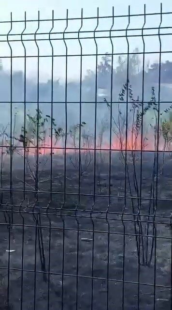 Bursa’daki Hamidiye Tarım Mesleki ve Teknik Anadolu Lisesi bahçesindeki yangın,