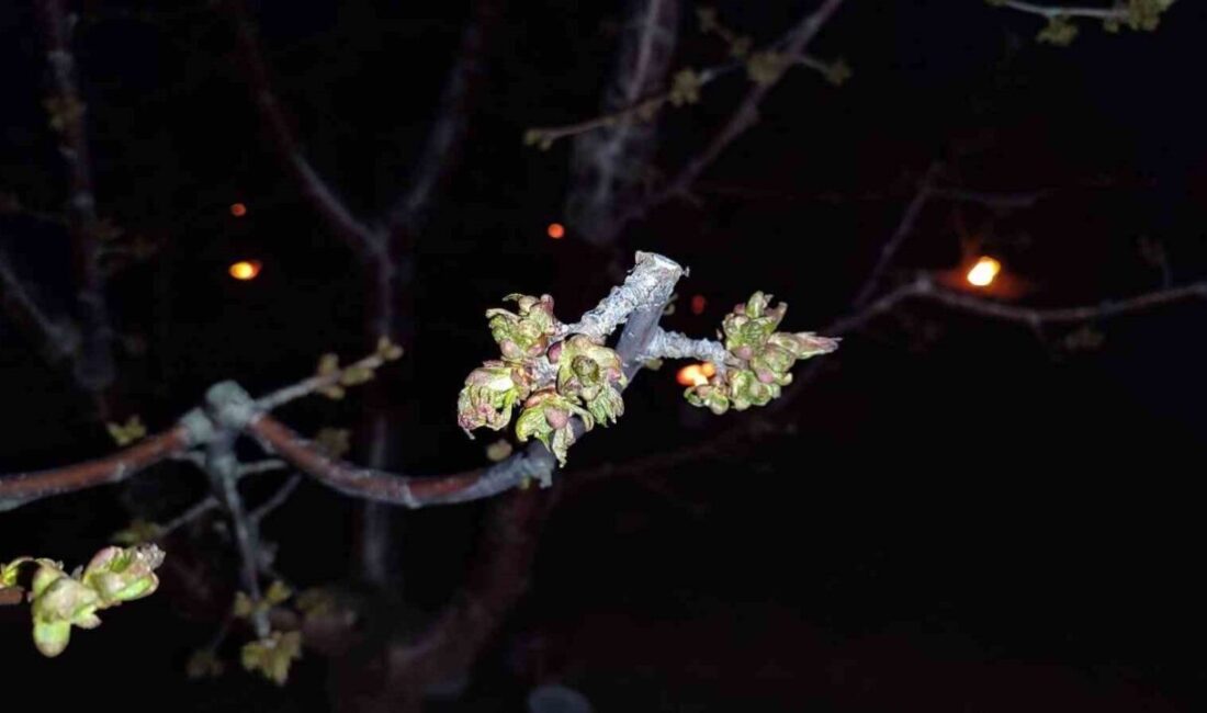 Resmi Gazete’de yayımlanan Cumhurbaşkanı Kararı ile Eskişehir’in de aralarında bulunduğu