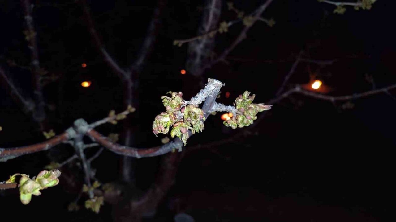 Resmi Gazete’de yayımlanan Cumhurbaşkanı Kararı ile Eskişehir’in de aralarında bulunduğu