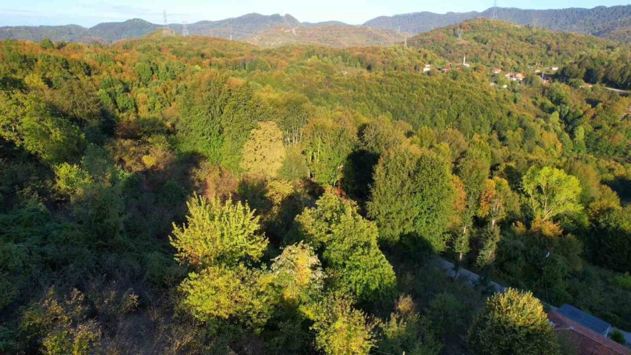 Zonguldak ormanlarında, sonbaharın eşsiz güzellikleri yaşanıyor. Havadan kaydedilen görüntülerde, yaprakların