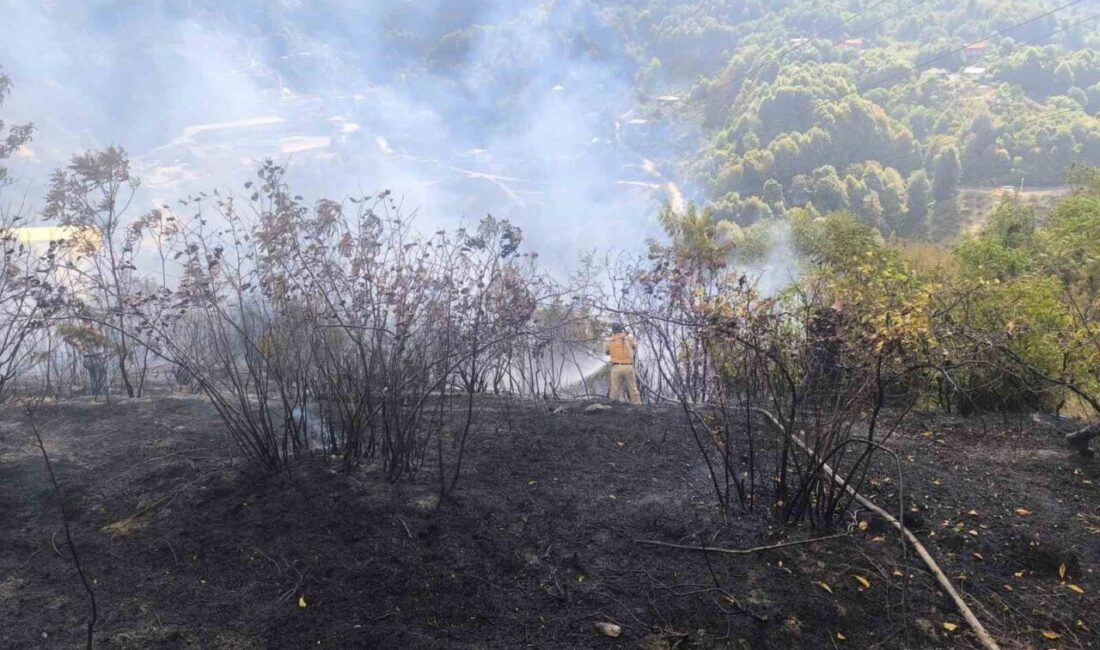 Zonguldak’ta 2 dekarlık alanda meydana gelen örtü yangını, ekiplerin müdahalesi
