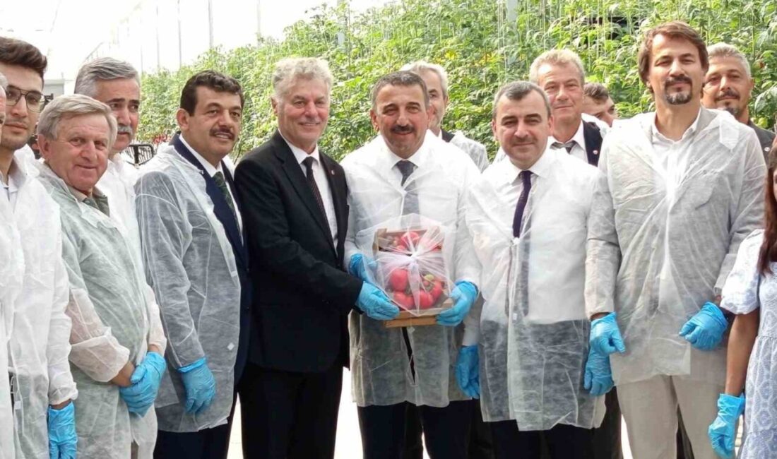 Zonguldak’ın Çaycuma ilçesinde Tarıma Dayalı Sera İhtisas Organize Sanayi Bölgesi