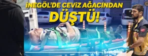 Bursa’nın İnegöl ilçesinde ceviz ağacından düşen adam ağır yaralandı. Olay,