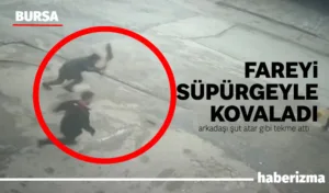 Bursa’da bir dükkâna giren fare, esnafı canından bezdirdi. Rafların arasında