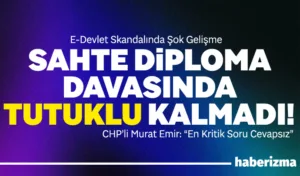 Türkiye’nin dijital kamu hizmet platformu olan e-Devlet sistemine yönelik gerçekleştirilen