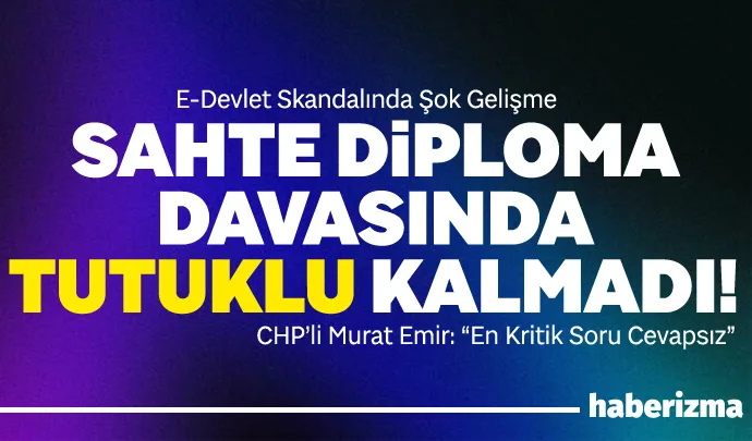 Türkiye’nin dijital kamu hizmet platformu olan e-Devlet sistemine yönelik gerçekleştirilen