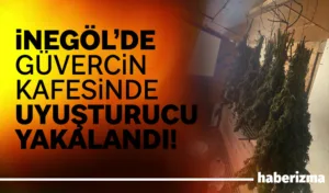 Bursa’nın İnegöl ilçesinde Jandarma komutanlığı ekiplerince bir eve düzenlenen operasyonda
