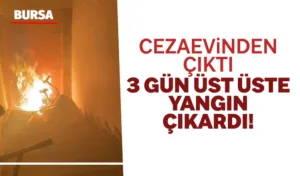 Bursa’nın Mudanya ilçesinde denetimli serbestlikten yararlanarak cezaevinden çıktıktan sonra kaldığı