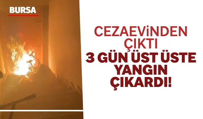 Bursa’nın Mudanya ilçesinde denetimli serbestlikten yararlanarak cezaevinden çıktıktan sonra kaldığı