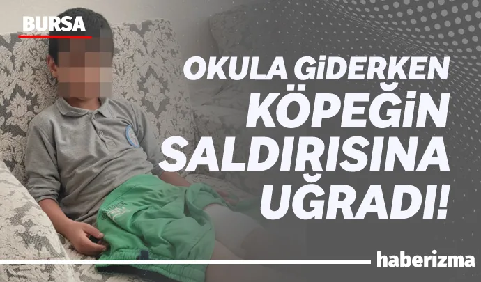 Orhangazi’ye bağlı Yeni Sölöz Mahallesi’nde sabah okula gitmek için evden