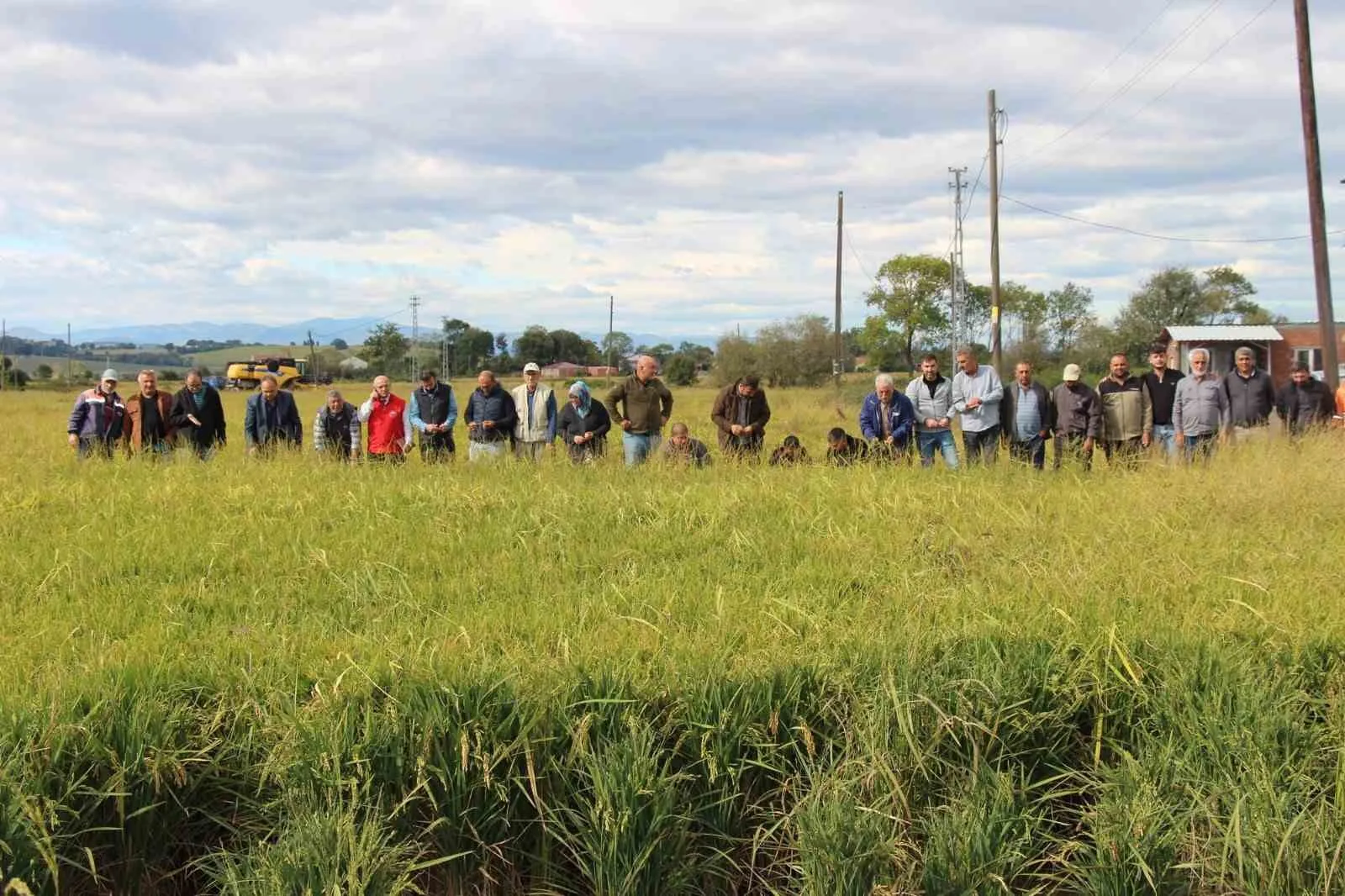 Samsun’un 19 Mayıs ilçesine bağlı Yörükler Mahallesi’nde etkili olan dolu