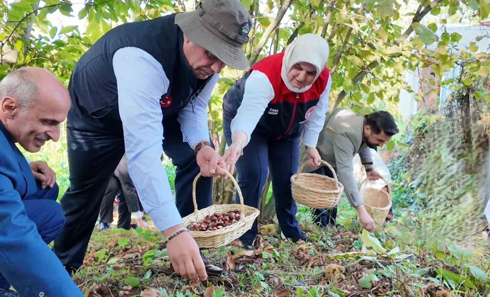 Düzce Dağdibi Köyü’nde ‘Kestanesi Hasat Şenliği’ gerçekleştirildi. Coğrafi işaret tescilinin