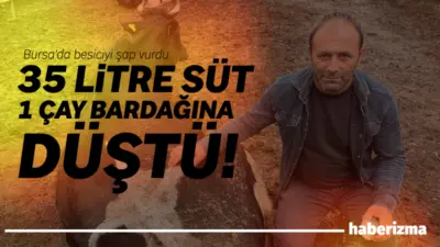 Bursa’nın Yenişehir ilçesinde şap hastalığı yüzünden mağdur olan besicilerden İbrahim