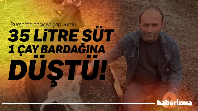 Bursa’nın Yenişehir ilçesinde şap hastalığı yüzünden mağdur olan besicilerden İbrahim