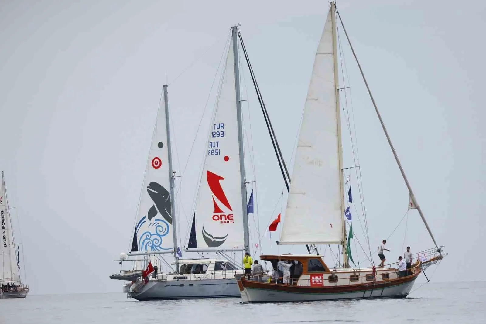 Deniz tutkunlarının heyecanla beklediği Maximiles Black 37. The Bodrum Cup,
