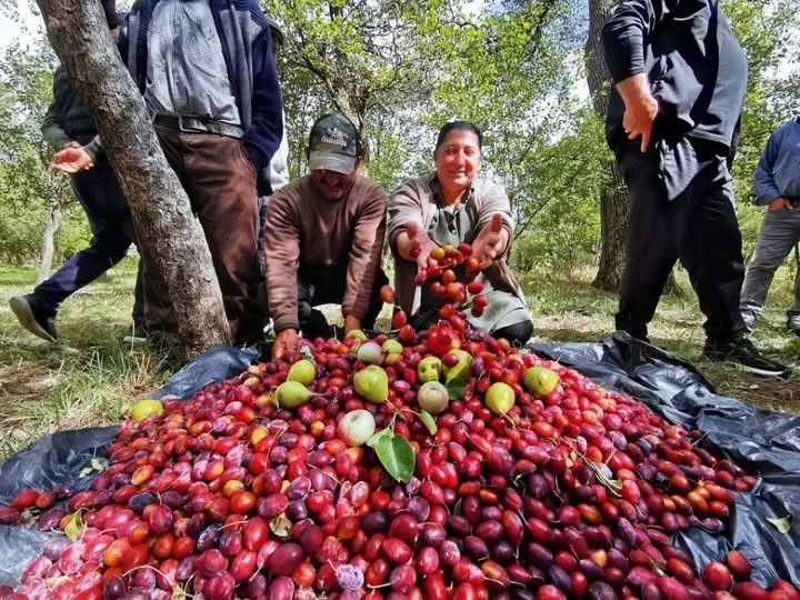 Çıldır Dernekler Birliğiniin öncülüğünde Akkiraz Derneğinin düzenlemiş olduğu 3.Çıldır Cancur