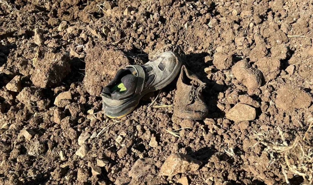 Diyarbakır’ın Çermik ilçesinde, 4 kuzenin girdikten sonra karbonmonoksit zehirlenmesi nedeni