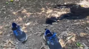 Antalya’nın Manavgat ilçesindeki 5 yıldızlı bir otele motosikletli iki kişi