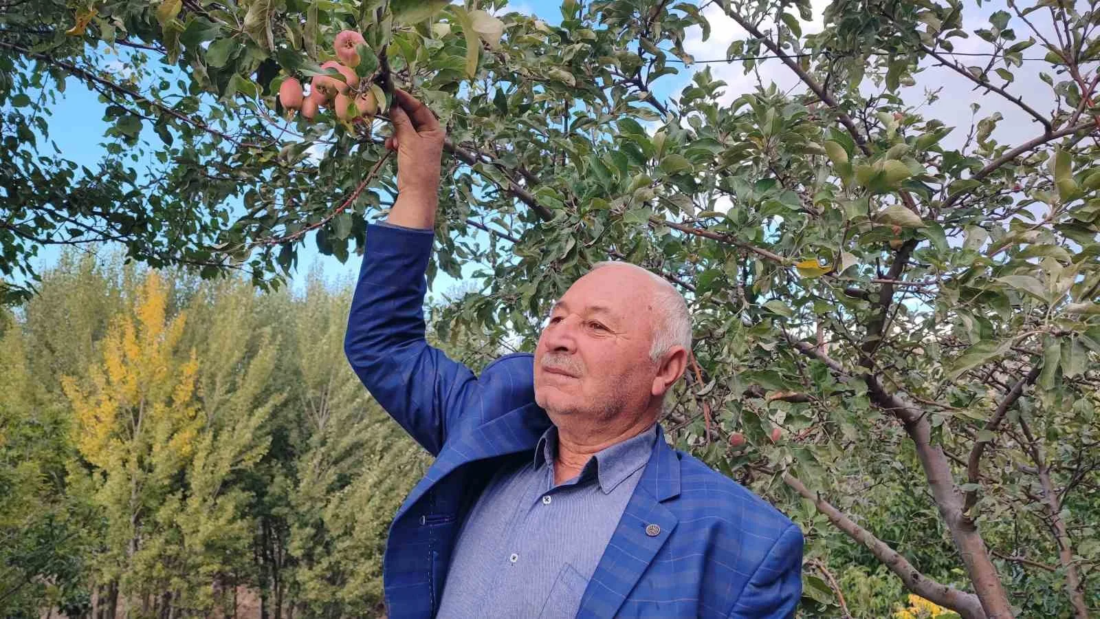 Yozgat’ta doğa adeta tersine döndü. Normal şartlarda ilkbaharda çiçek açıp