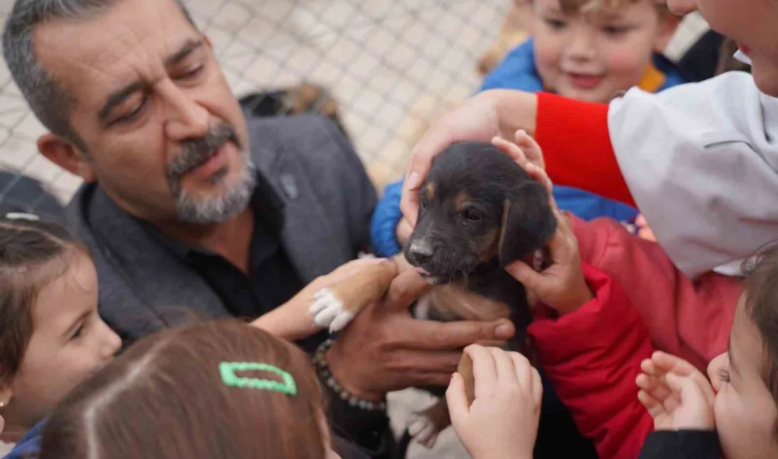 Bilecik’de Sokak Hayvanları Tedavi ve Rehabilitasyon Merkezi, 11 okuldan yaklaşık