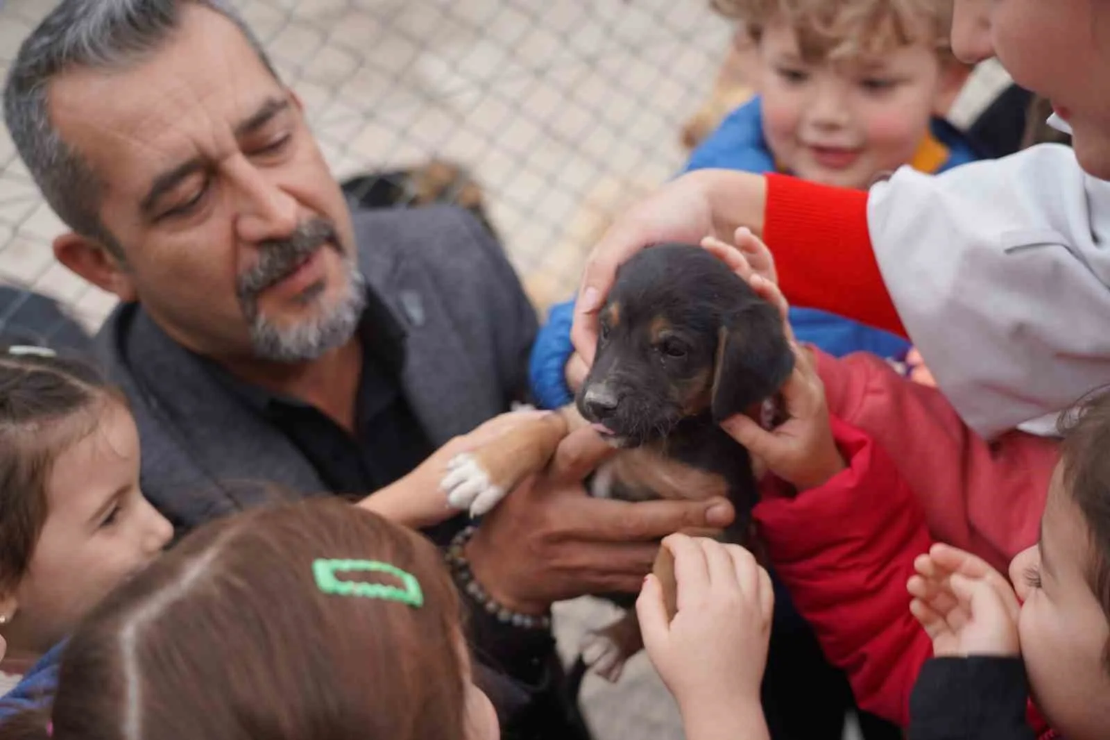 Bilecik’de Sokak Hayvanları Tedavi ve Rehabilitasyon Merkezi, 11 okuldan yaklaşık