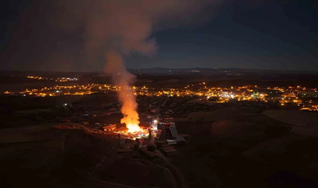 Kırıkkale’nin Delice ilçesine bağlı Çerikli Beldesi’nde besiciye ait mandırada bulunan