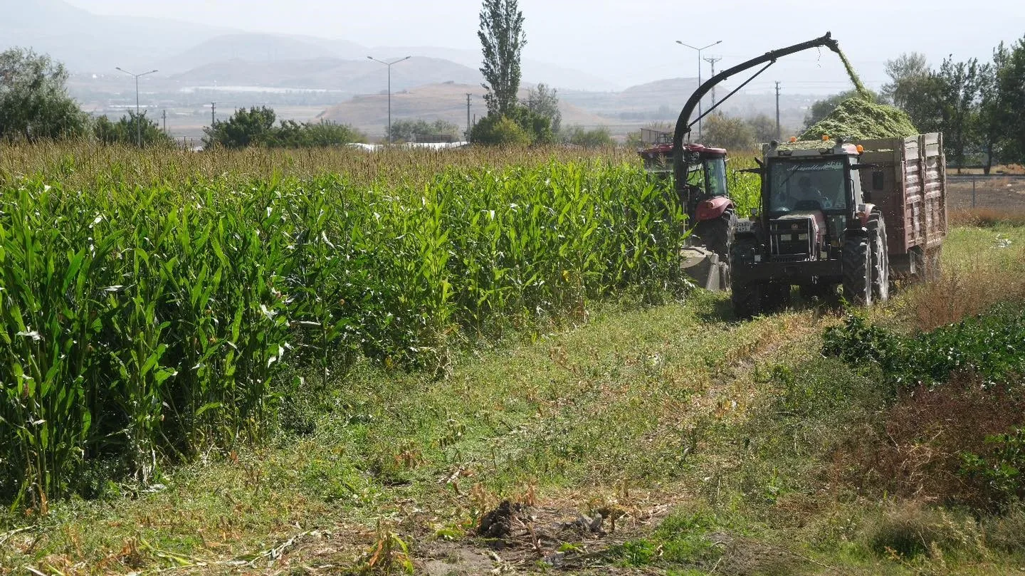 Erzincan Belediyesi Park ve Bahçeler Müdürlüğü tarım ekibi tarafından 98