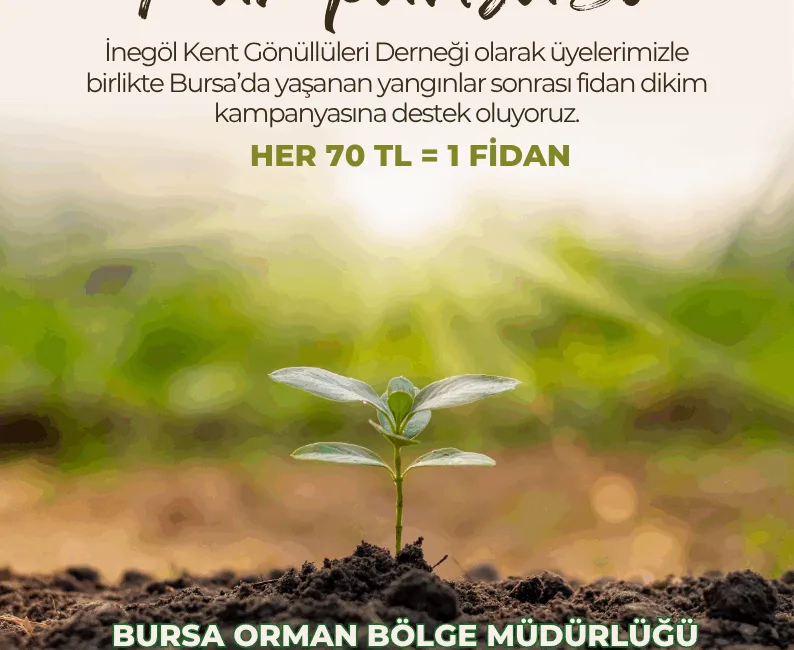 İnegöl Kent Gönüllüleri Derneği, Bursa genelinde yaşanan orman yangınlarının ardından