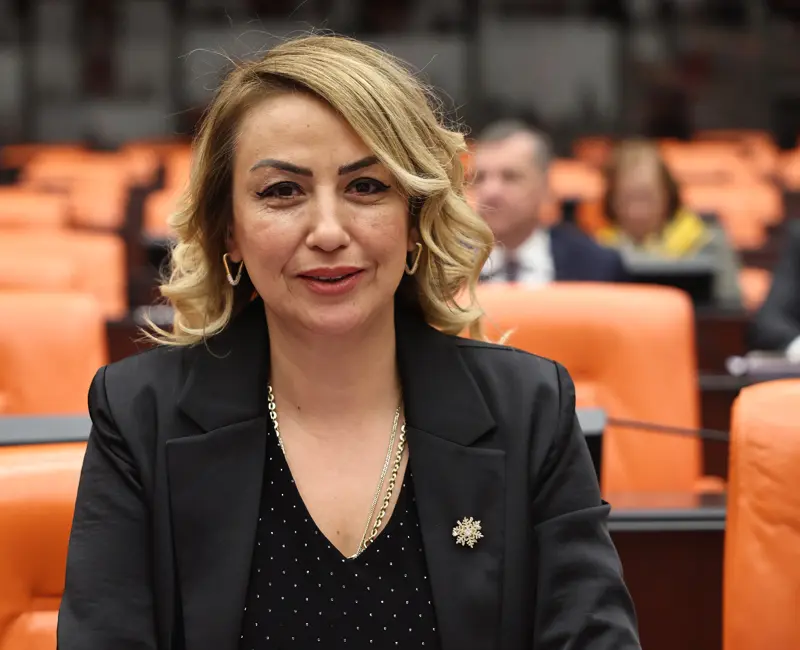 Cumhuriyet Halk Partisi Hatay Milletvekili Nermin Yıldırım Kara, Resmi Gazete’de