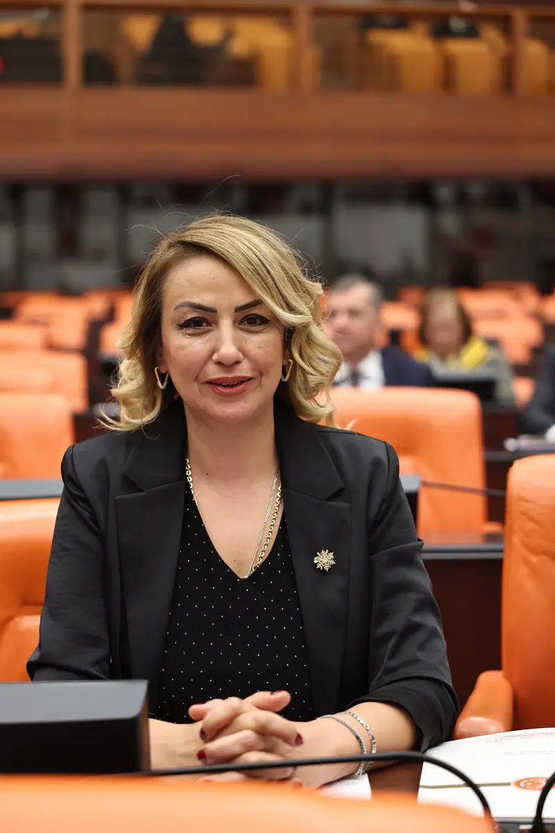 Cumhuriyet Halk Partisi Hatay Milletvekili Nermin Yıldırım Kara, Resmi Gazete’de